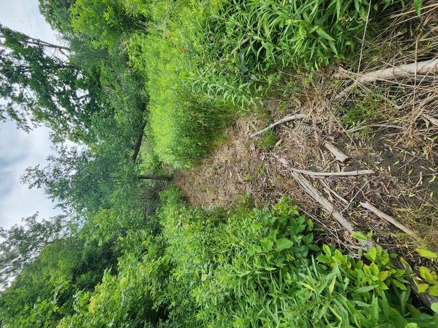 Deer Trail