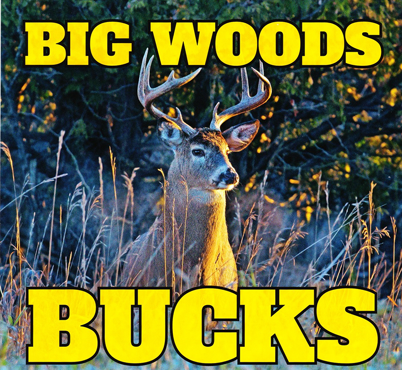 BIG WOODS BUCKS