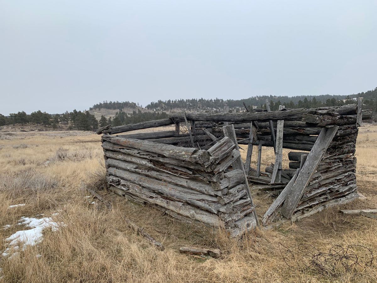 Old Cabin Found While Shed Hunting