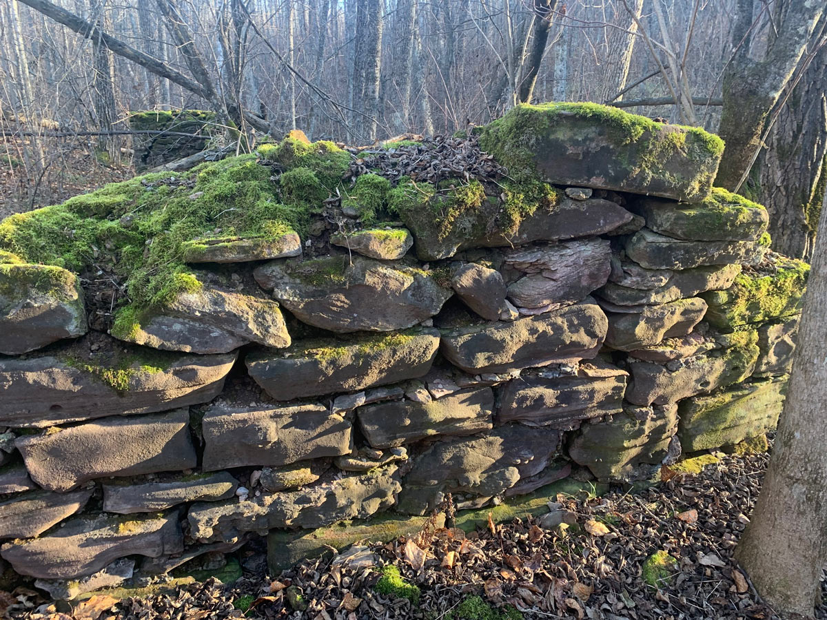 Old House Foundation Found While Shed Hunting