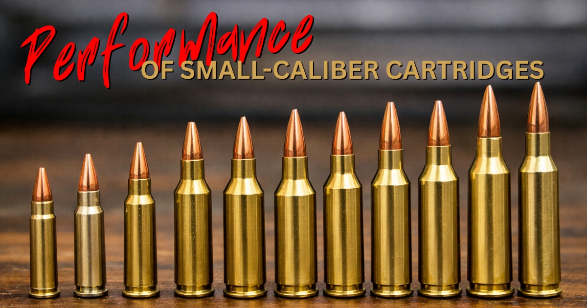 Performance of small-caliber cartridges