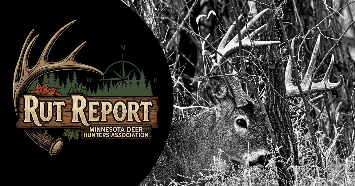Minnesota Rut Report