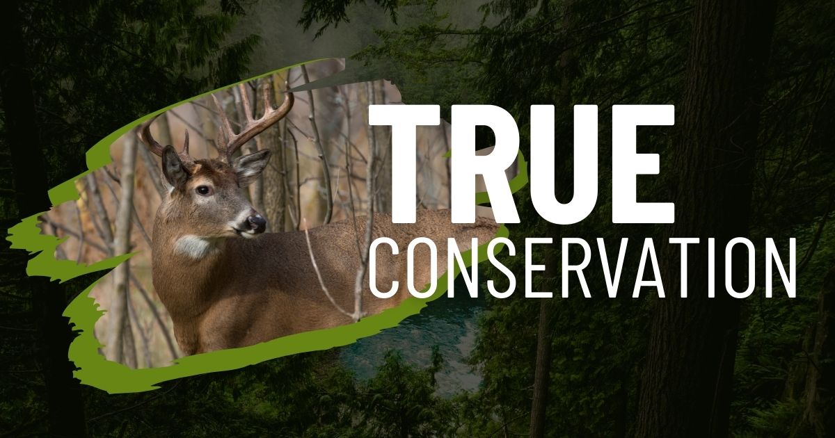 What Defines a True Conservation Group?