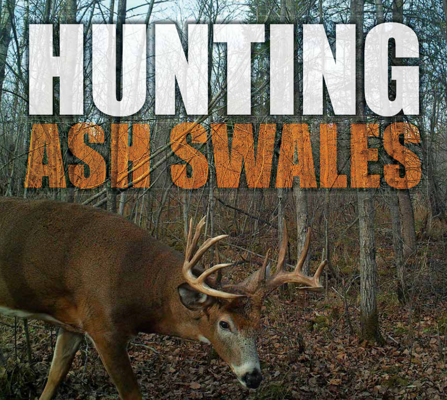 Hunting Ash Swales