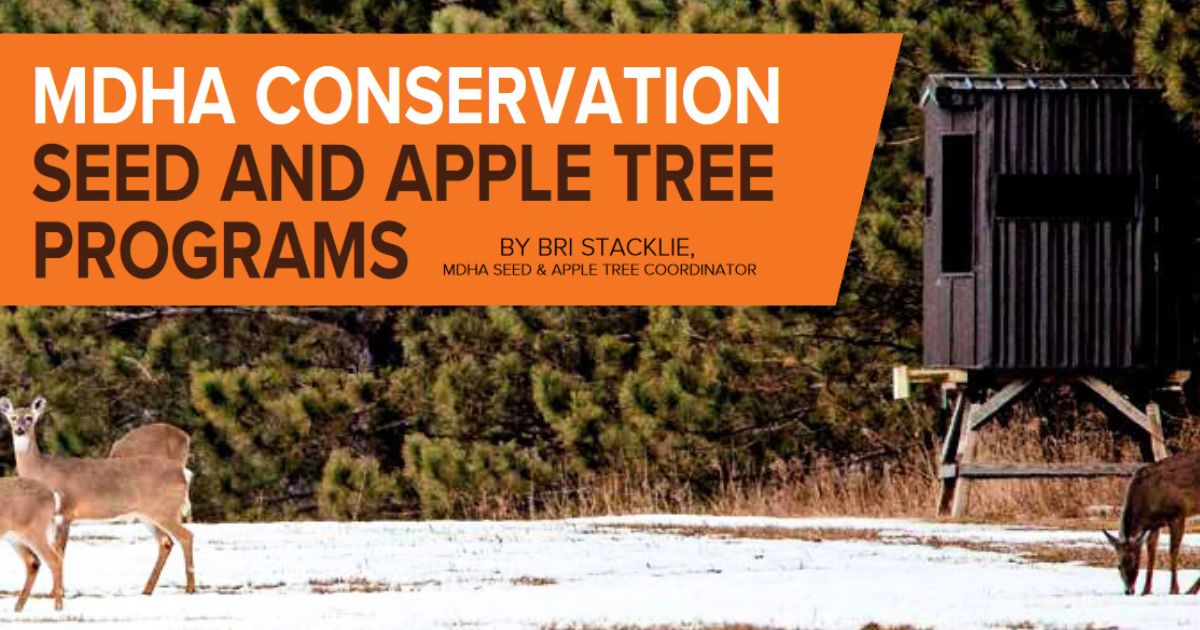 Seeds and Apples For The Deer
