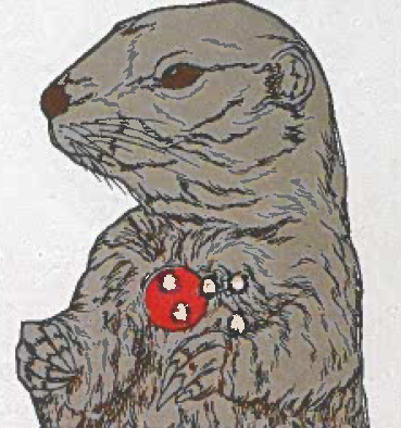 Target