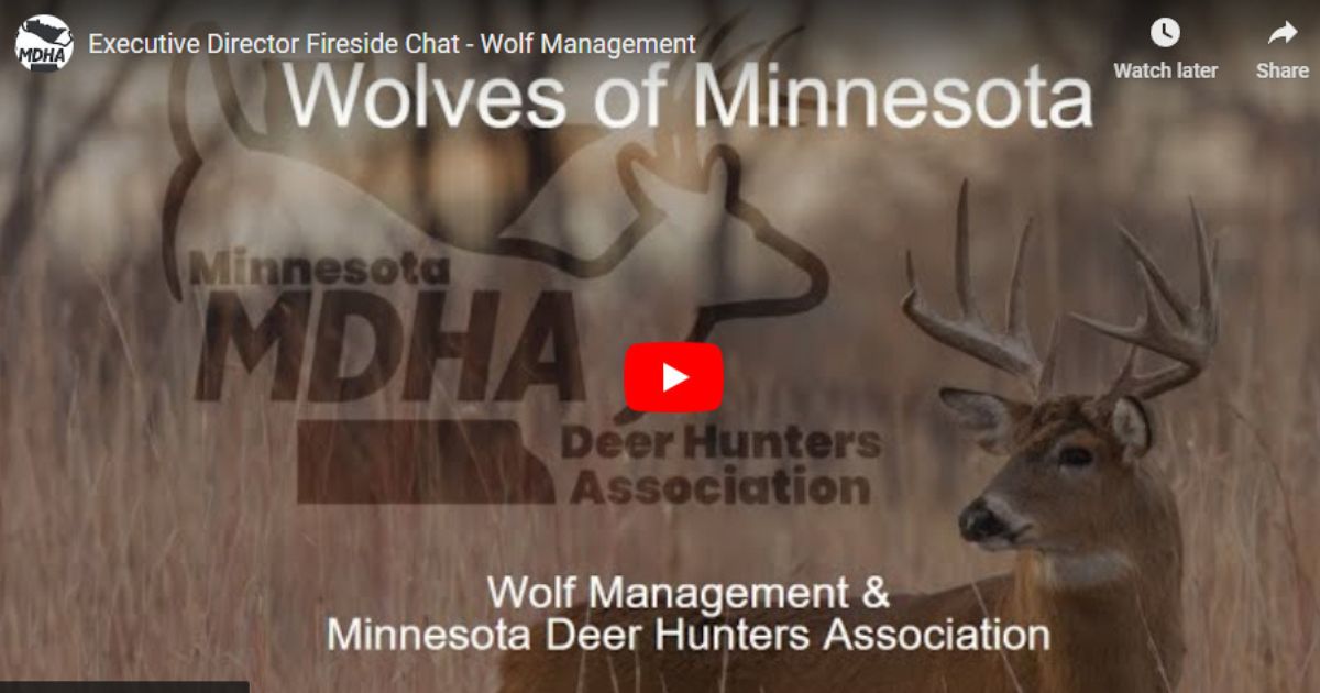 Executive Director Fireside Chat - Wolf Management